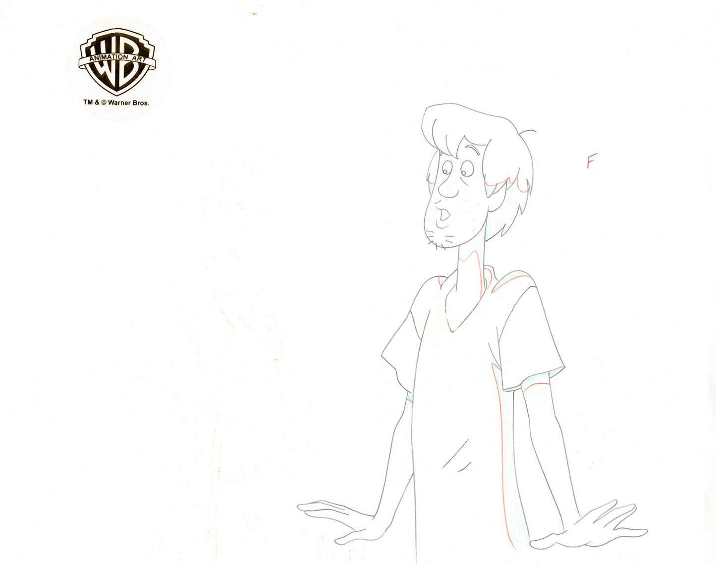 Scooby-Doo on Zombie Island Original Production Cel with Matching Drawing Signed by Bob Singer: Scooby-Doo, Shaggy