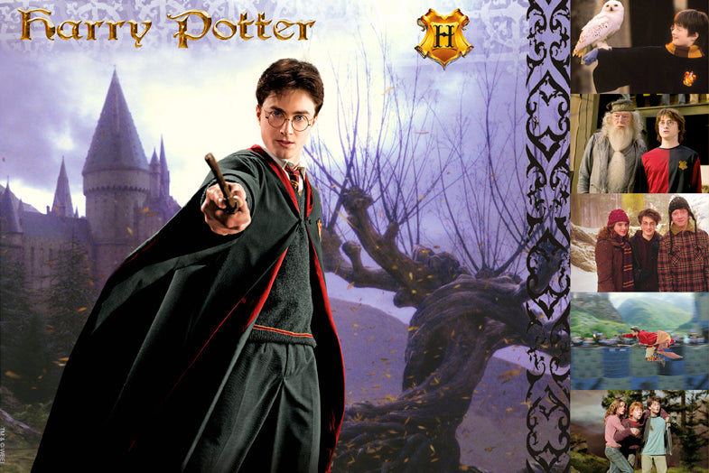 Witches & Wizards Collection Harry Potter