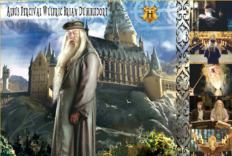 albus dumbledore fish nets Witches & Wizards Collection Albus Dumbledore