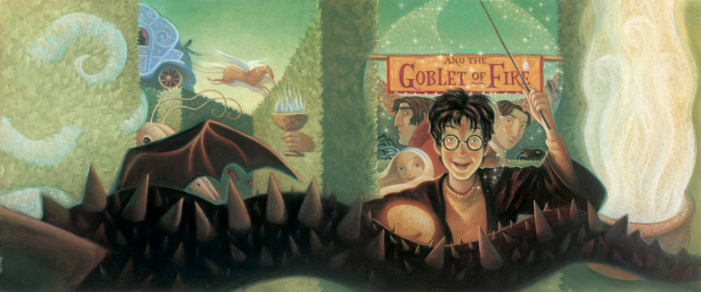 Book 4 Harry Potter and the Goblet of Fire