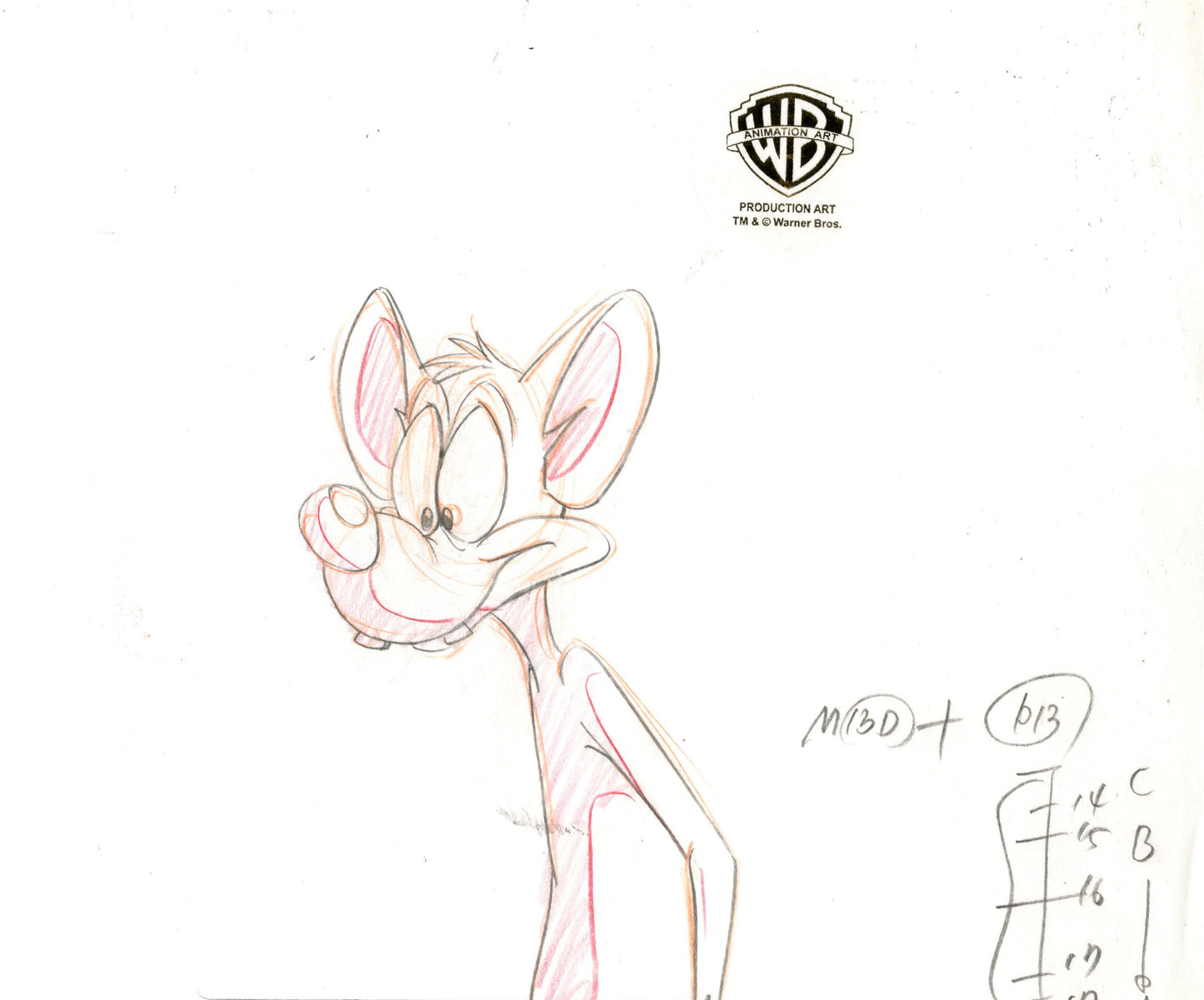 Pinky And The Brain Original Production Drawing: Pinky