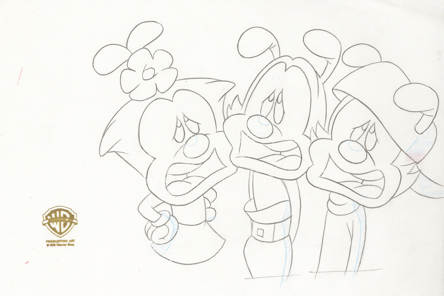 Animaniacs Original Production Cel with Matching Drawing: Yakko, Wakko and Dot