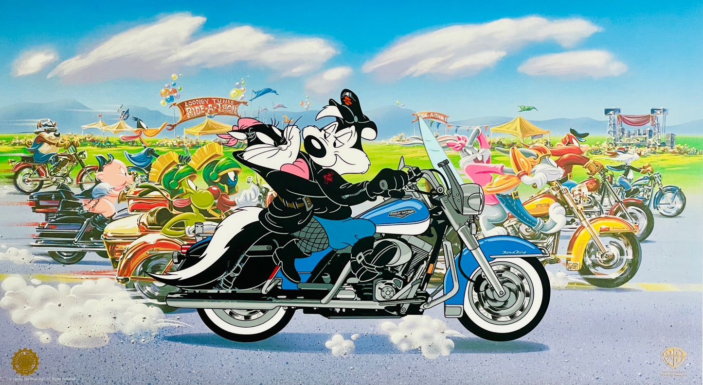 The Ride: Harley Davidson