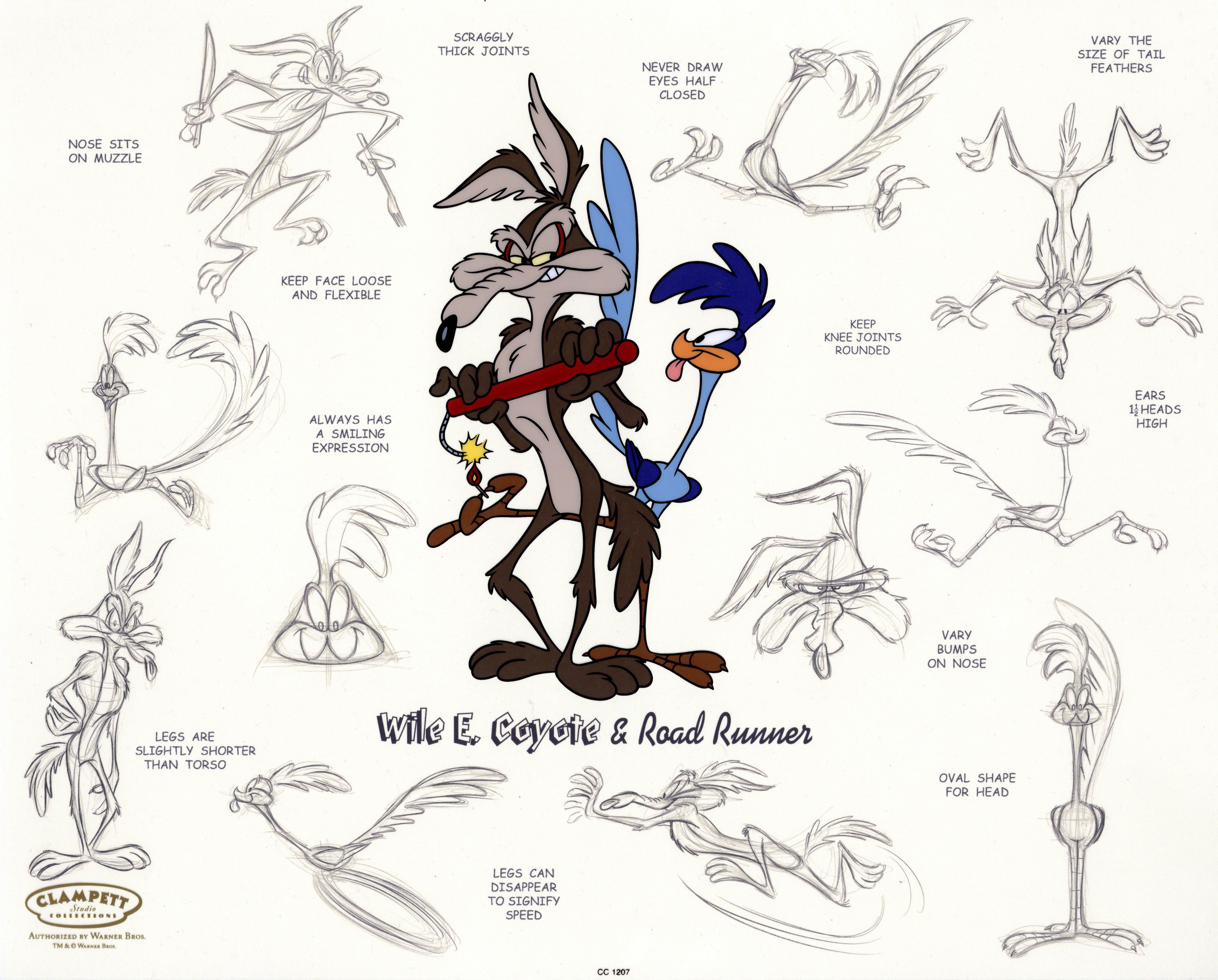 Roadrunner Cartoon Face
