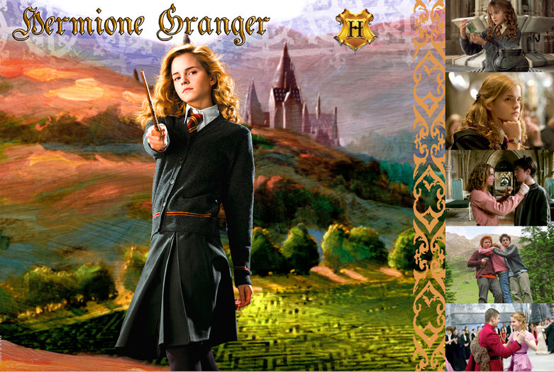 Witches & Wizards Collection Hermione Granger