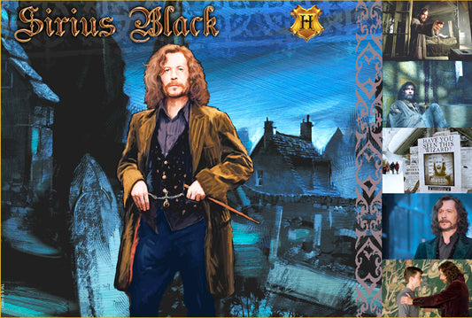 Witches & Wizards Collection    Sirius Black