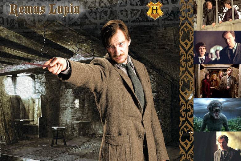 Witches & Wizards Collection Remus Lupin