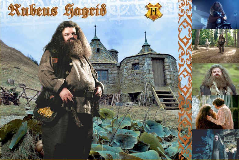Witches & Wizards Collection Rubius Hagrid