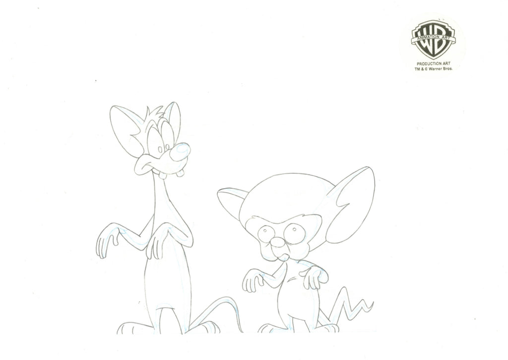Pinky And The Brain Original Production Cel with Matching Drawing: Pinky and Brain