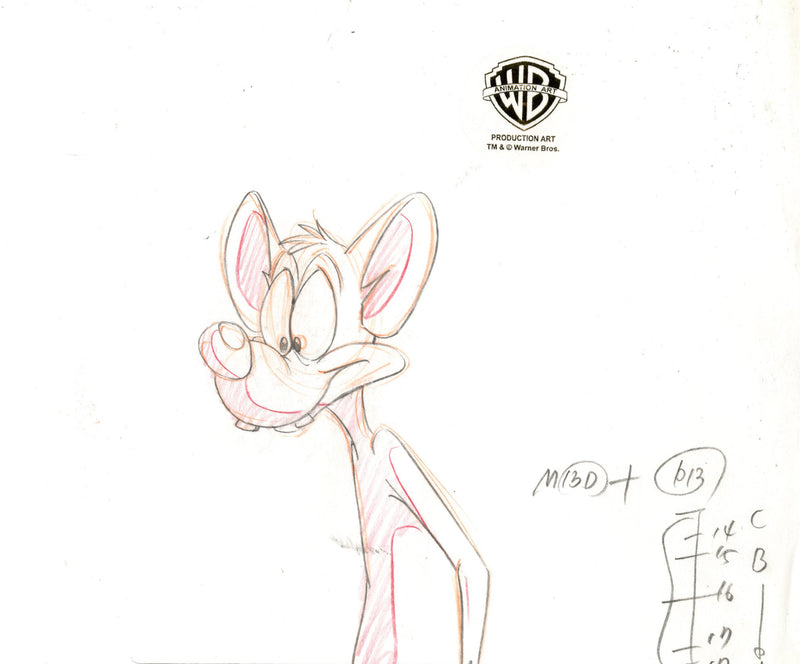 Pinky And The Brain Original Production Drawing: Pinky