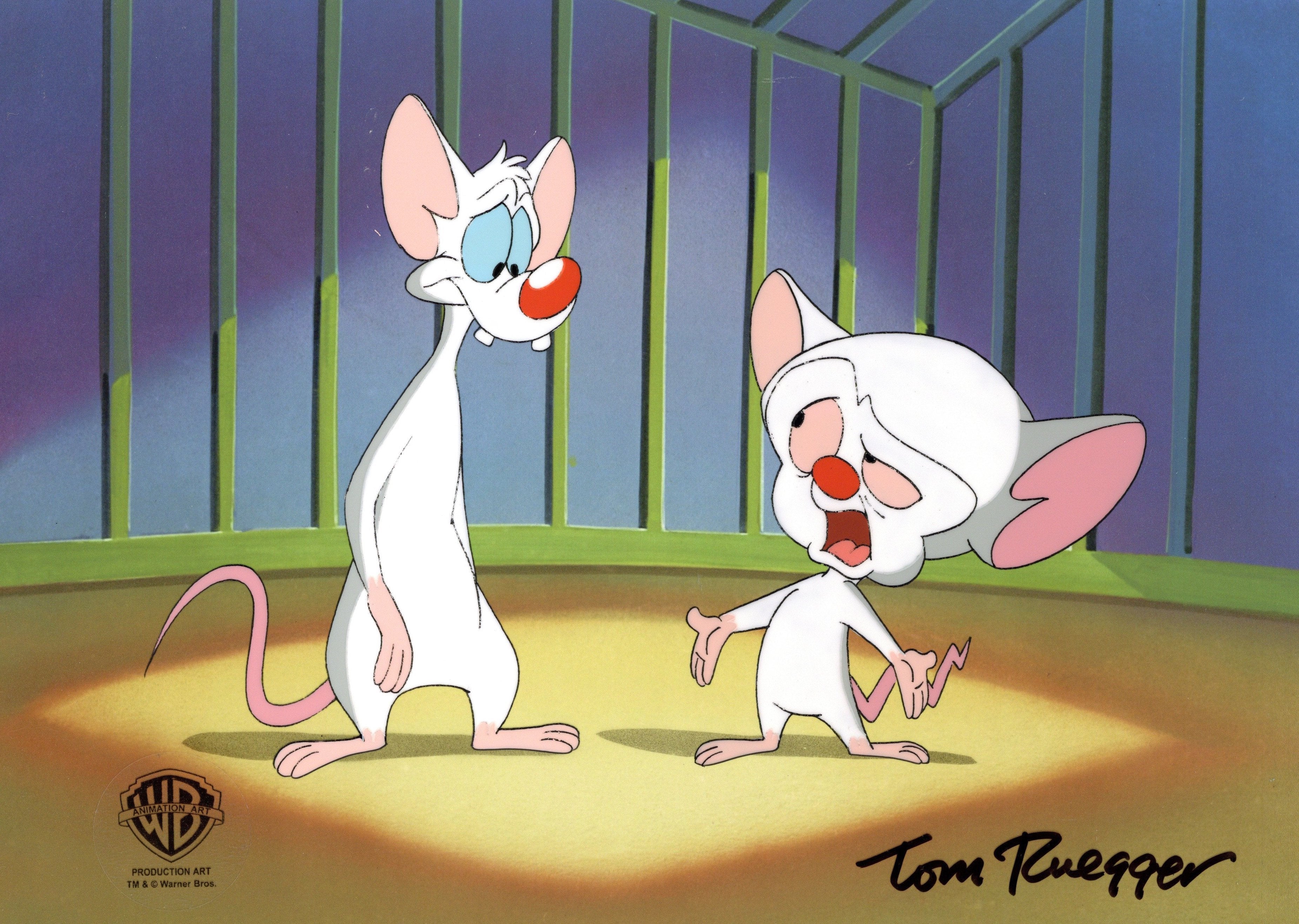 Tom Ruegger Family Pinky And The Brain Original Production Cel Signed by Tom Ruegger: Pin ...
