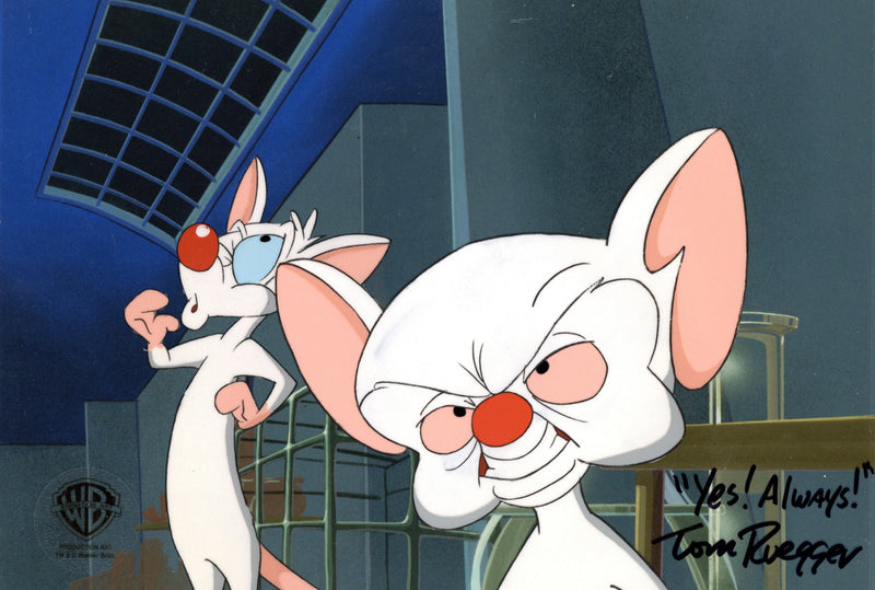 Pinky And The Brain Original Production Cel Signed by Tom Ruegger: Pinky and Brain