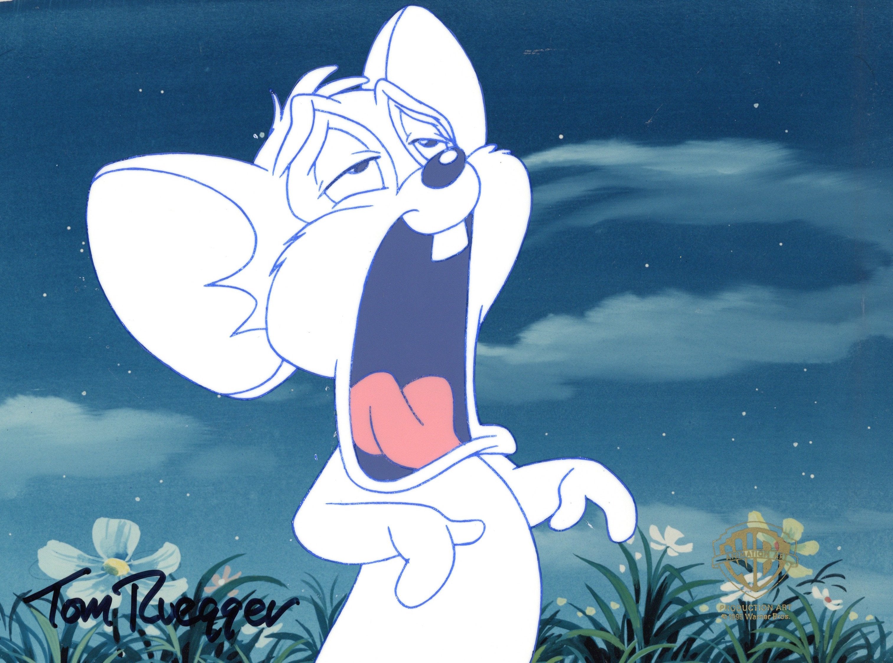 Tom Ruegger Productions Tiny Toon Adventures Original Production Cel Signed by Tom Ruegger: Li ...