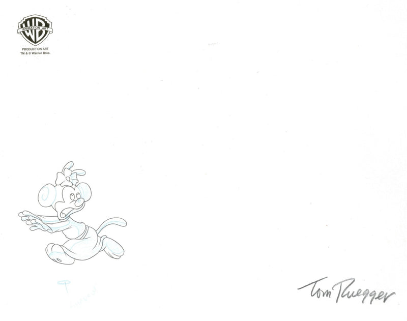 Pinky and the Brain Original Production Cel and Drawing Signed by Tom Ruegger: Wakko, Yakko, Dot - Choice Fine Art